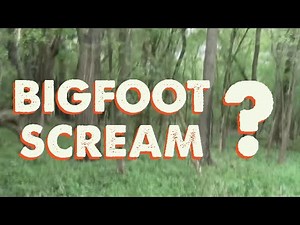 Bizarre (Bigfoot?) Scream Sends Mushroom-Hunter Packing