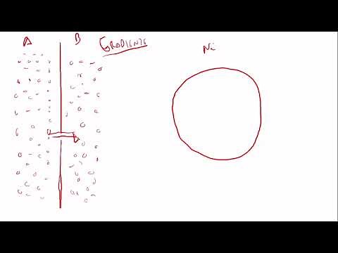 O que é o gradiente de eletroquímico que existe entre o exterior e o interior de uma célula?