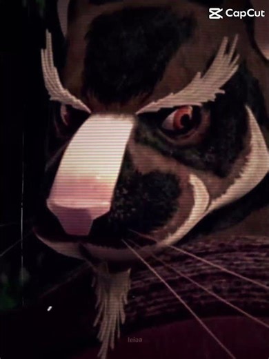 master splinter, hamato yoshi