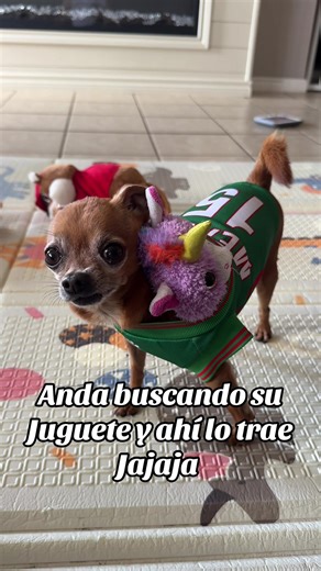 Enrique Carrillo (@j.e.c.m.x)’s videos with original sound - Enrique Carrillo