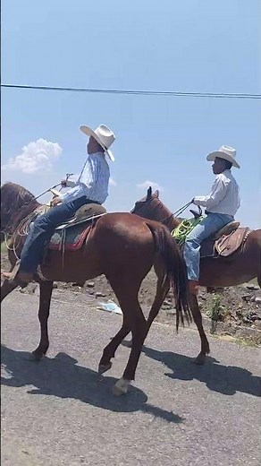 caballos Cabalgata de la fiesta patronal 🐎 Morelos | Así se vive