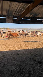 158K views · 4.1K reactions | Nothing like mornings in the Fort Worth Stockyards! | Fort Worth Herd | Facebook