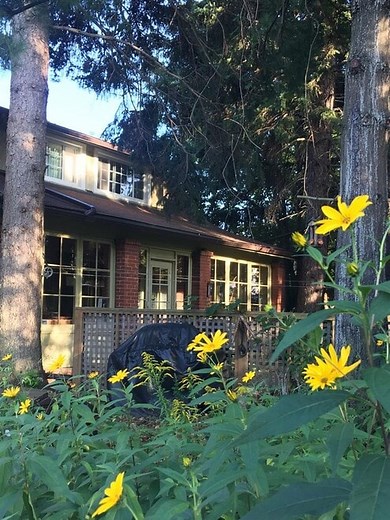 Toronto ON Houses for Rent - 1,358 Homes | Apartments.com