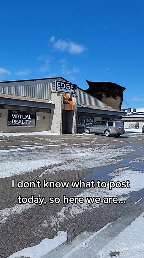 #edgevrarcade #virtualreality #bored #snowday #maxwellthecat