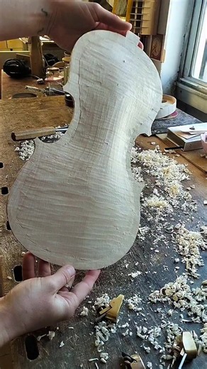 🎻The happiness of hand carving a new violin back! Did you know that violins are hand carved? #violin italy orchestra luthier #小提琴 #viola music musician #violinmaker baroque 小提琴 artisan バイオリン florence musicista #violinist bass
