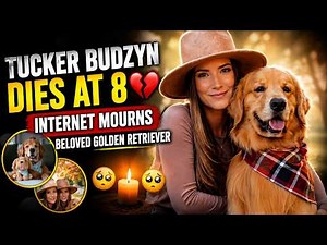 Tucker Budzyn Dies at 8 💔 Internet Mourns Beloved Golden Retriever (Updated)