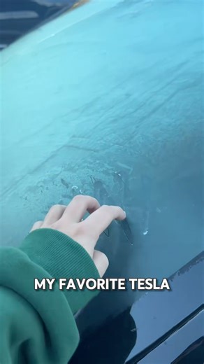 Tesla’s are great in the cold, especially because of this feature! #tesla #teslafeatures
