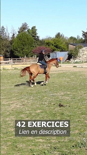 42 exercices de saut d'obstacles #cheval #horse #equitation #jumping