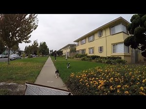 CRAZY OLD LADY on Mobility Scooter Compilation (Mobility Mary Compilation)