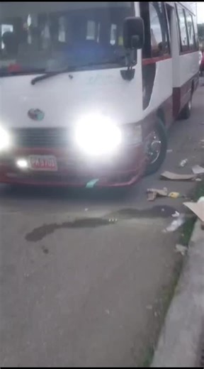 Bus Driver Madness: Unique Perspectives on Bus Life