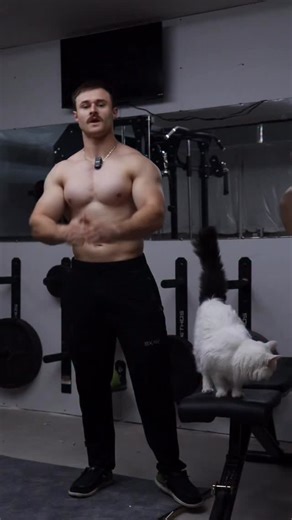 Lat spread guy . Follow me for more cats and gym : @pandsfitness . USE CODE: CATDAD @bxactiv @wolfpak.official . #Lift #cat #evolpow #evolpowfitness #gymcat #cute #kitty #gymkitty #meow #catsofinstagram #mew #buff #gym #gymlife #buff #power #powerlifting #powerlifter #fyp #wolfpak #body #bodybuilder #bodybuilding #weights #weight #gym #gymlife #motivation #reels #muscle | Pandsfitness