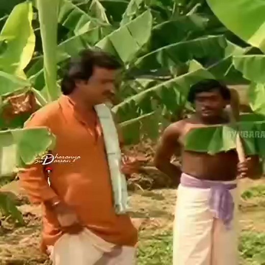 Pandi Pandiyan Pandi Pandiyan on Reels