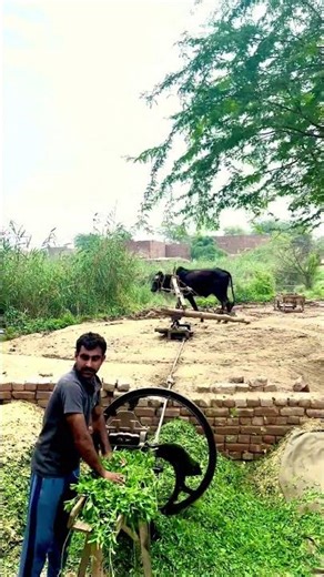 Bulls Running Gear System #shortsreels #farming #shorts