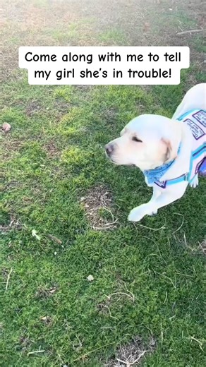 118K views · 7.3K reactions | This is a perfect example of why Spy is...