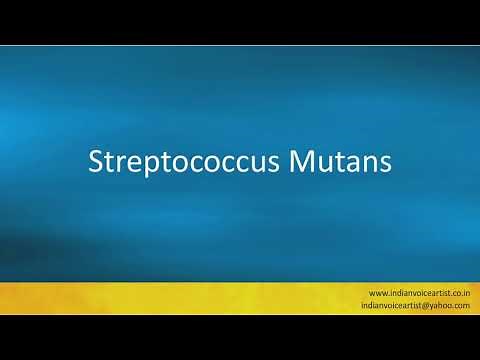 Pronunciation of the word(s) "Streptococcus Mutans".