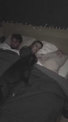 Adorable Rottweiler Kicking Owners Out of Bed 😂🐶
