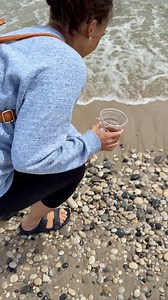 I love it! 🐟❤️ #rockhound #minerals #stones #rocks #geology #gemstones #gem #beachcombing #rockhounding | OPE Rocks