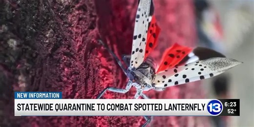 Ohio Department of Agriculture issues statewide quarantine to combat spotted lanternfly