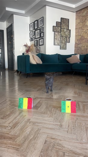 Africa Cup of Nations Highlights: Senegal vs. Mali