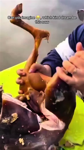 Hilarious Dream Scenarios That Will Make You Laugh