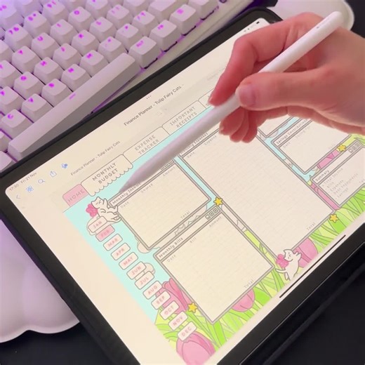 Cute Finance Planner - Kawaii Budget Planner - Hyperlinked Digital Planner for Goodnotes, iPad and Android Apps - 12 Months - Etsy
