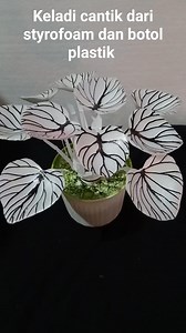 514K views · 5.9K reactions | Keladi cantik dari styrofoam dan botol plastik #karyapanda #idekreatif #kerajinantangan #kreasiunikdarilimbahplastik #kreasidaurulangsampah #tutorial #fyp #reels #diy #art #authenticity | Karya Panda | Facebook