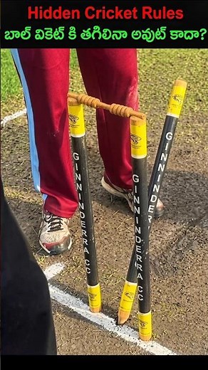 Hidden Cricket Rules | NGG Cricket When the Stumps Fall but it’s NOT Out! 🏏🤯 #shorts