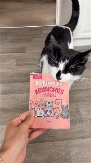Your cat knows what the Scrumbles Krunchies Hairball Treats bag sounds like🐱 Code ‘MYNEKOPUDDING’