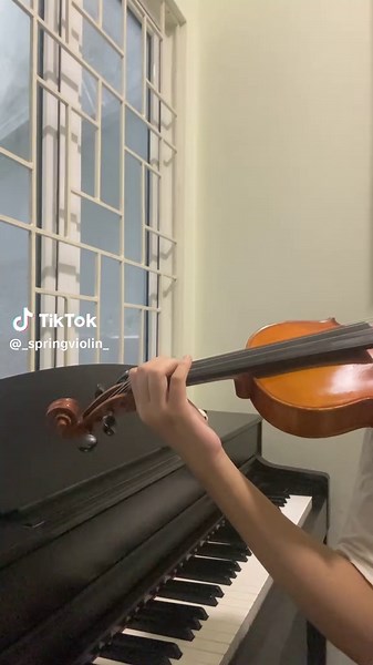 20-10-2025 #thewinner #cover #violin