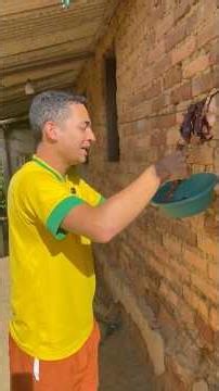 Meat thief