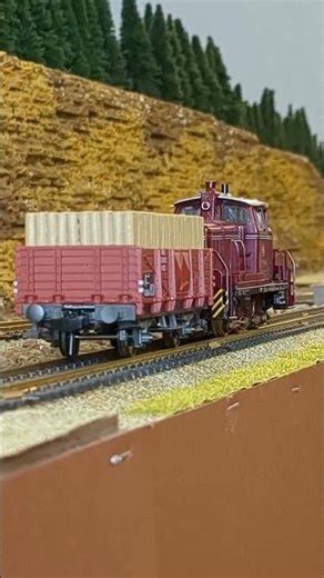 Fleischmann 1454 Güterwagen O 20 der DB #Shorts 14