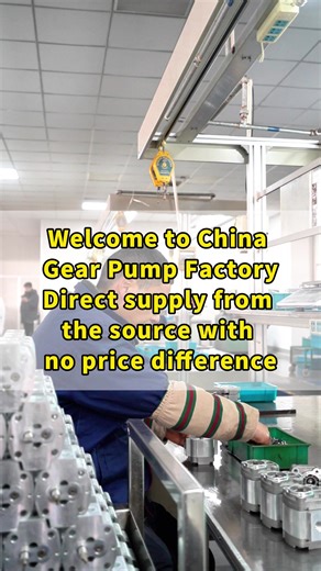 Hello boss, welcome to our factory in China. This is your hydraulic gear pump, workshop power unit, agricultural machinery specific pump, forklift power unit, marine actuator, Dongye Machinery, a high-end hydraulic power system manufacturing expert in China.#HydraulicDistributor#SynchronousDiverter#flowdiverter#Hydraulicpowerunitr#gearpump