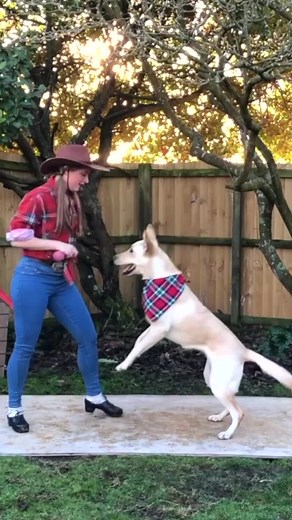 💃🏻 Abigail Titmuss 🎶 Cracker Jack by Dolly Parton 📍 Southern Cross Irish Dance ------------------- 🎥 Content Submission: ffvideofeature@gmail.com 💃🏻 Fusion Fighters Online Members: www.fusionfightersdance.com #FusionFighters​​​ #IrishDance​​​ #FFVideoFeature​​​ #Reels | Fusion Fighters