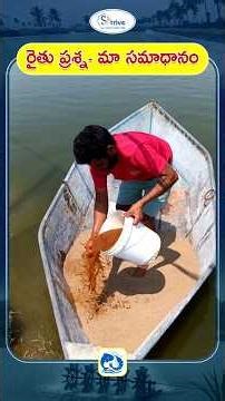 difference between salinity and hardness in shrimp farming ponds #aquaculture #shrimpfarming