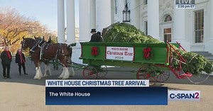 2024 White House Christmas Tree Arrival