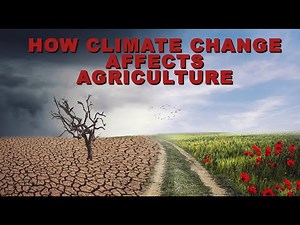 How Climate Change affects Agriculture #agriculture #climatechange