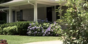 City of Springfield releases results of housing study: There are more renters than homeowners