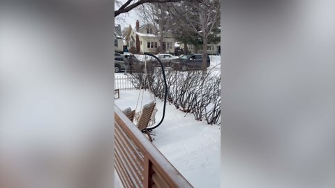 ICE smash female driver's window and drag her from car to detain her