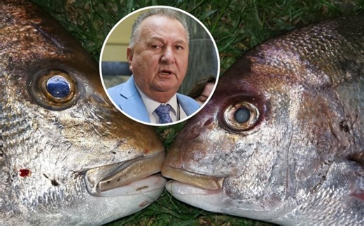 'Killing baby snapper': Proposed rules remove fish size limits for commercial fishing
