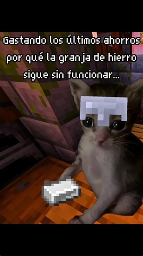 Hally on Instagram: "hacen milagros para salirse... #Minecraft #minecraftsurvival #minecraftsmp #minecraftmemes #memes #humor #gatitos"