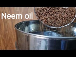 Raw Organica - Neem Oil Extraction Process