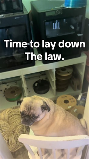 Building a 150% Scale LEGO UCS Venator with 3D Printing