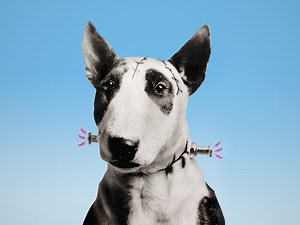 Frankenweenie - Apple TV