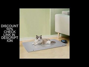 200KG Digital Livestock Platform Scale Pet weight scale LCD Display Screen