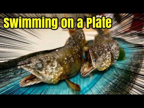 [Game Changer] Perfect Ayu on a Home Stove — Just Like a Japanese Restaurant