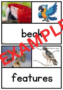 Vocab Cards Mega Pack | Parts of Plants & Animals, Life Cycles, Humans, Habitats