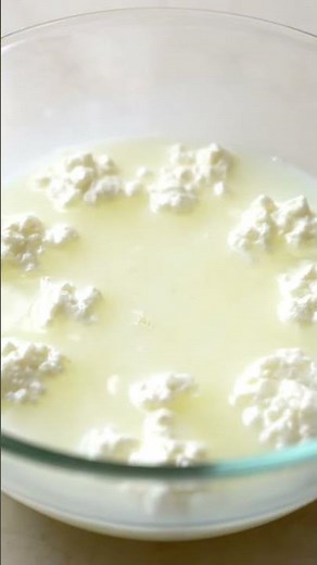 How Milk Turns into Curd 🥛 | Fermentation
