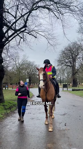 Book Your Equestrian Experience at Stag Lodge Stables