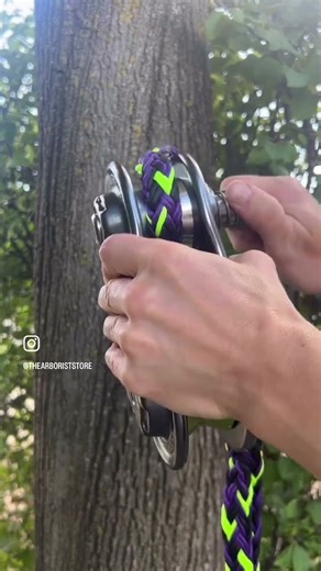 Rigging ASMR 🔊🌲 | The Sounds of Tree Work | The Arborist Store #arborist