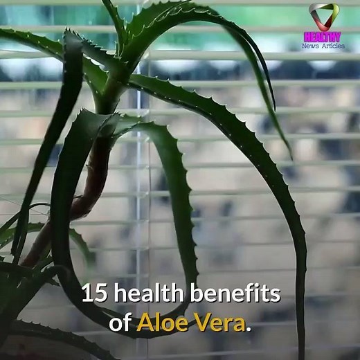 6.4K views · 241 reactions | 15 health benefits of Aloe Vera. | All about health and nutrition | Facebook